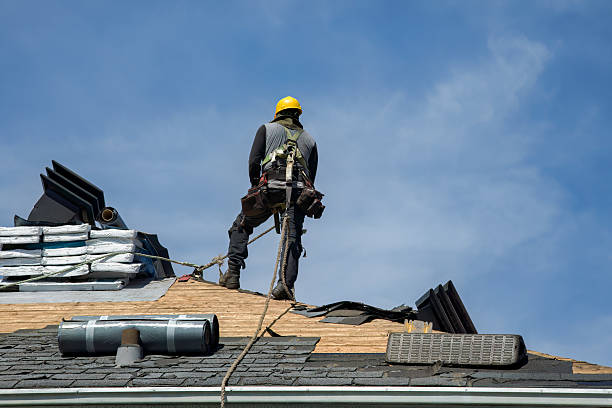 Professional Roofing technician working in DeWitt, IA
